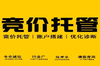 SEM托管实战案例：精准营销策略解析